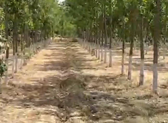 Chatarpur Nakta Khera, Moradabad, Uttar Pradesh 244901, India