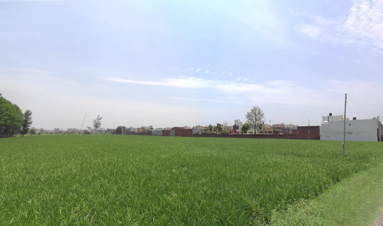 Dineshpur, Uttarakhand 263160, India