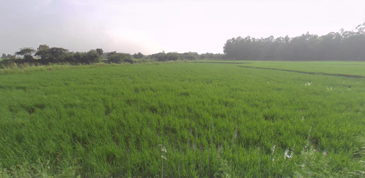 Anupshahar, Uttar Pradesh 203390, India