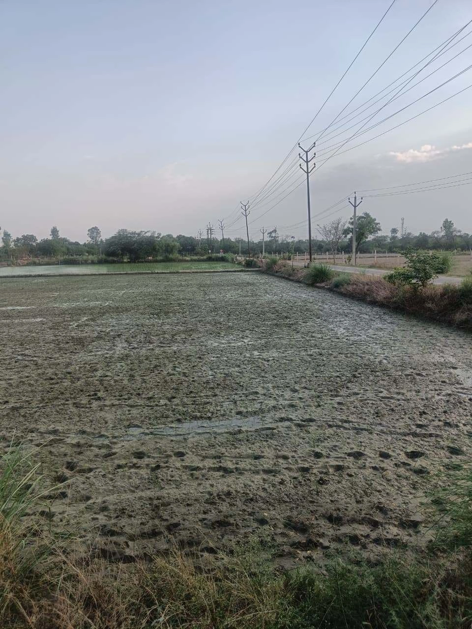 Aou, Rajasthan, India preview 3
