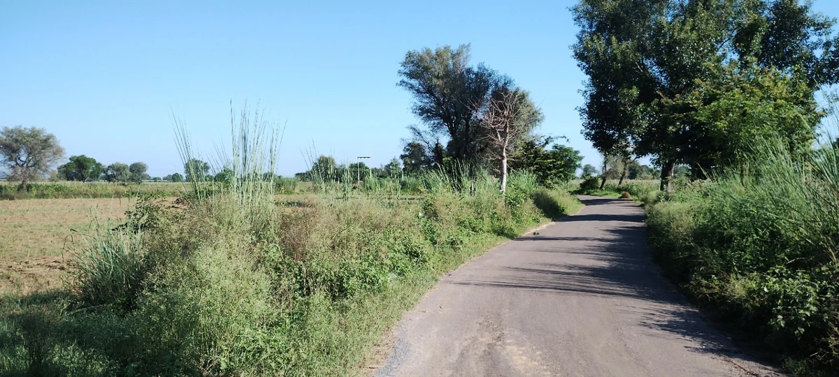 Nizamnagar, Rajasthan 301021, India