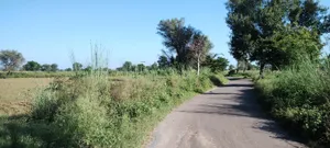 Nizamnagar, Rajasthan 301021, India preview 3