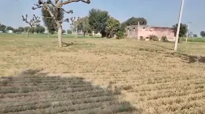 Ramnagar, Uttarakhand 244715, India preview 3