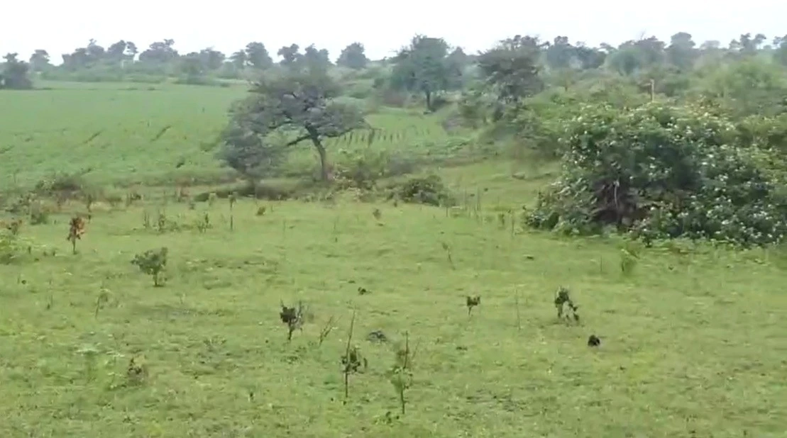 Sakari, Madhya Pradesh, India