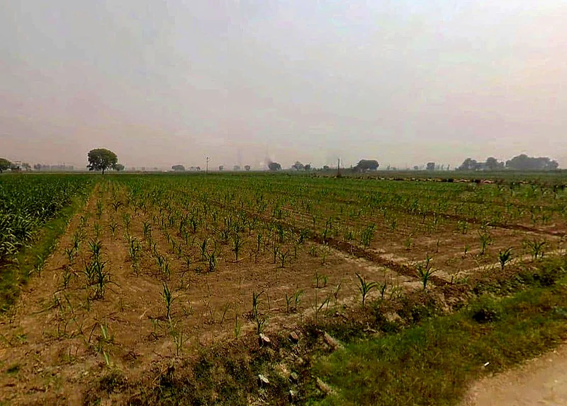 Jogipura, Uttar Pradesh 245206, India preview 2
