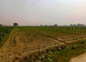 Jogipura, Uttar Pradesh 245206, India preview 2