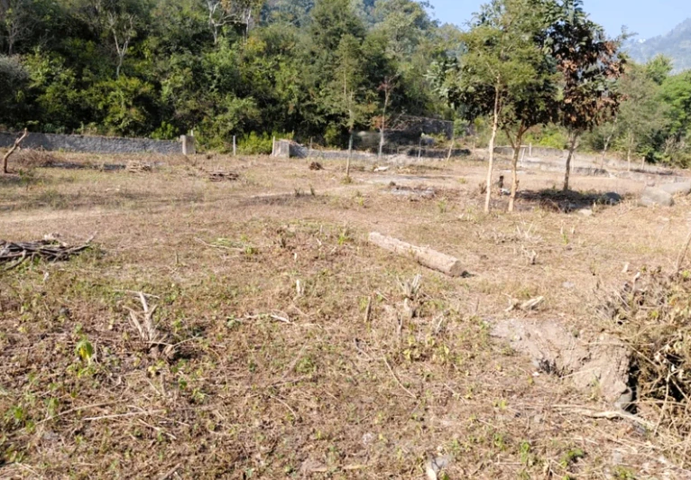 Raipur Rani, Haryana 134204, India