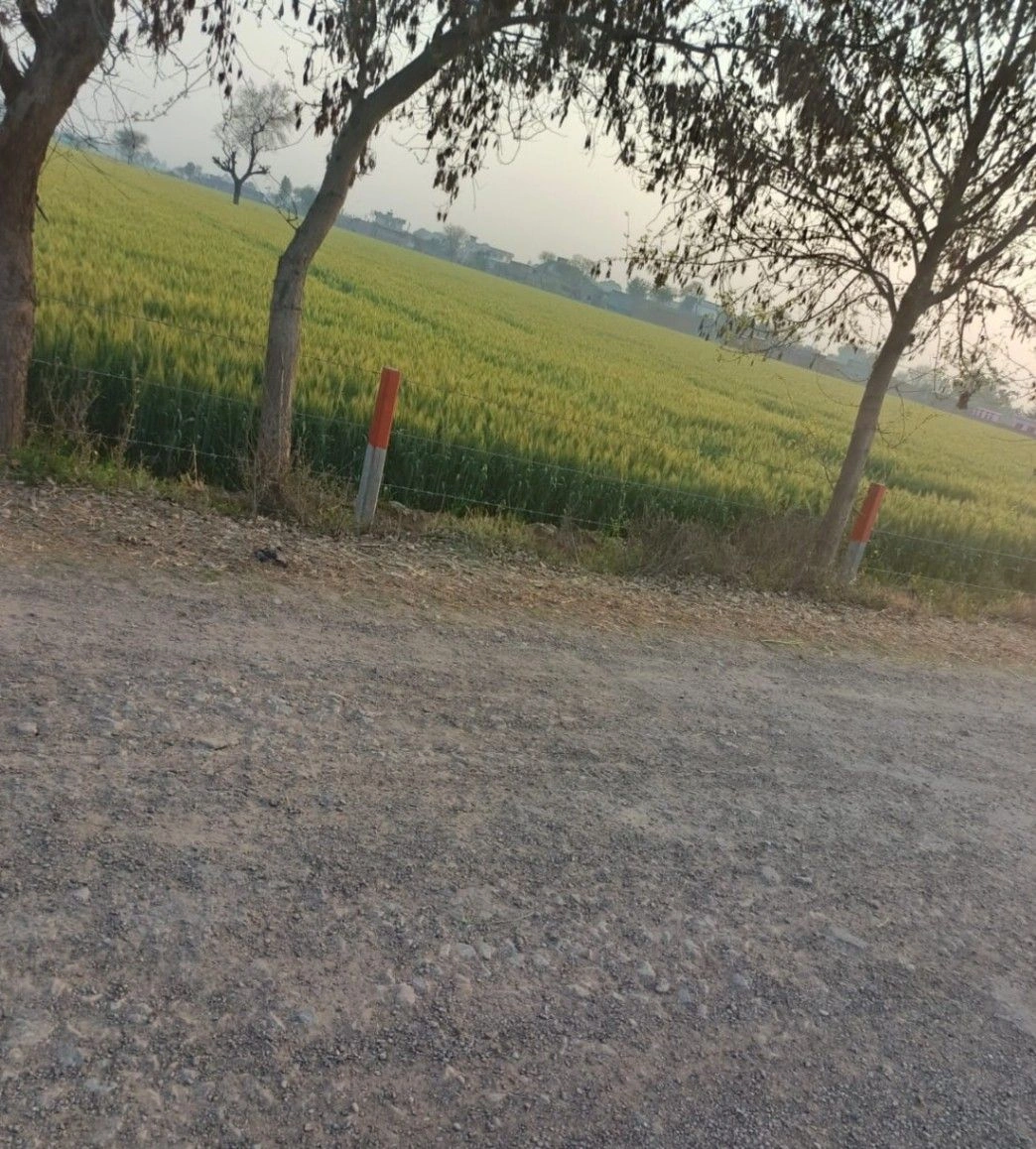 MW7F+93 Khuian Nepalpur, Haryana, India