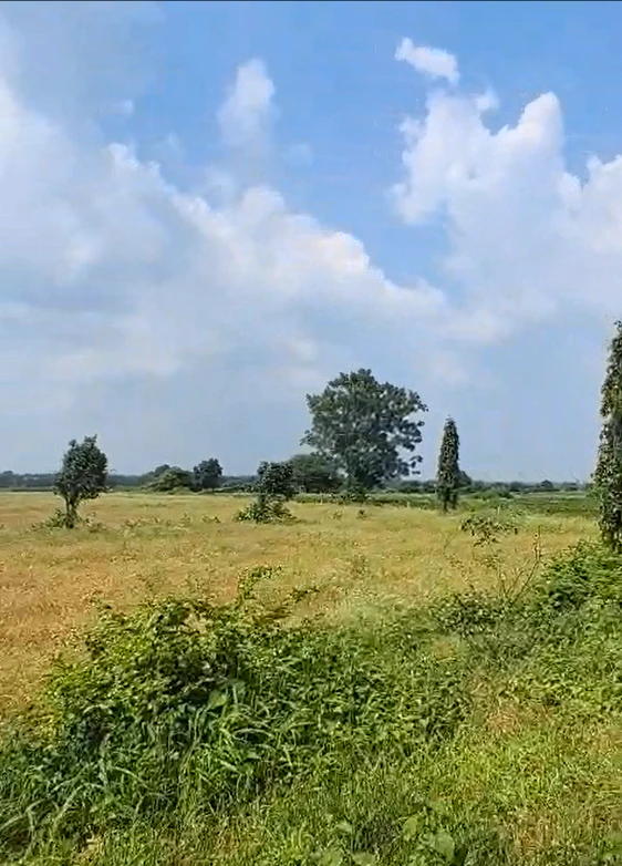 72J7+R28, Ratlam, Kaneri, Madhya Pradesh 457001, India
