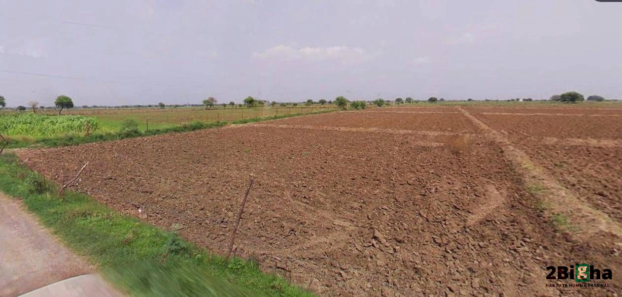 Jharli, Haryana 124106, India