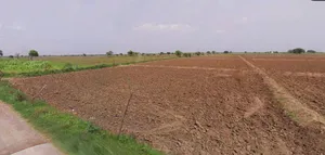 Jharli, Haryana 124106, India preview 3