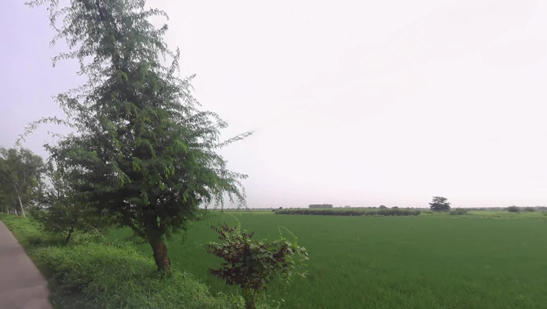 X8CR+FWC, NH 19, Khatela Sarai, Haryana 121105, India