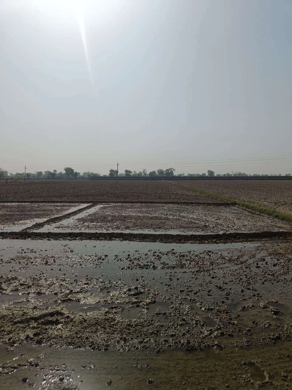 Ajhai Kalan, Uttar Pradesh 281406, India