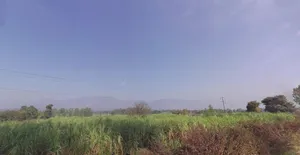 Rajpur Rd, IAS Officers Colony, Rajpur, Dehradun, Uttarakhand, India preview 2