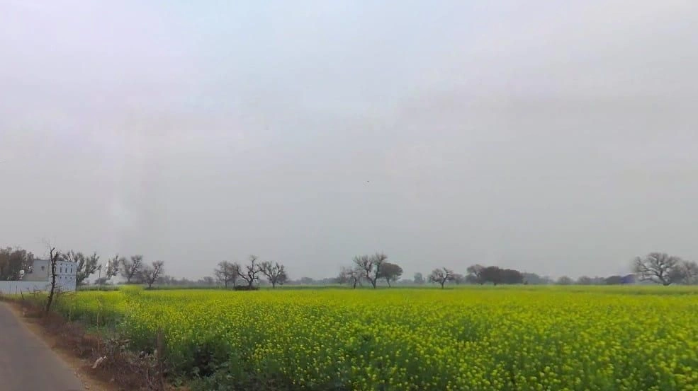 Jawli, Rajasthan 321607, India