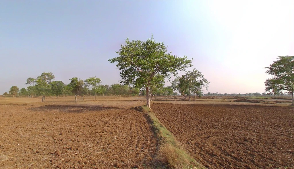 5XR8+39R, Arang, Chhattisgarh 493441, India