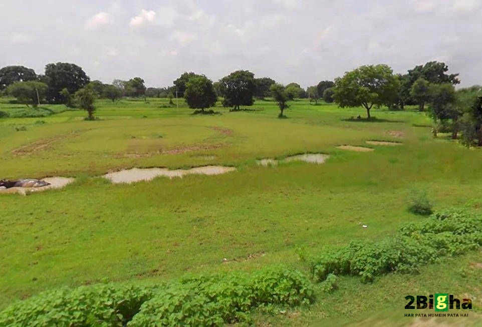 Bhopal, Madhya Pradesh, India