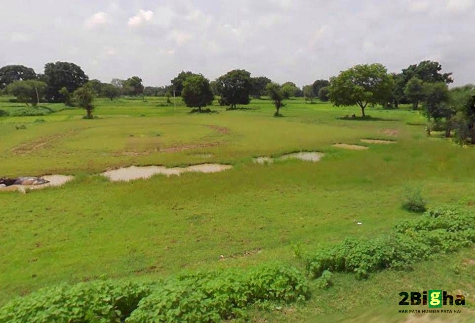 Bhopal, Madhya Pradesh, India