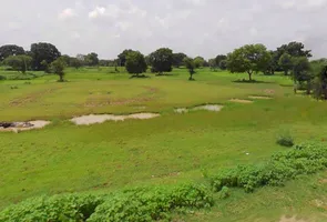 Bhopal, Madhya Pradesh, India preview 2