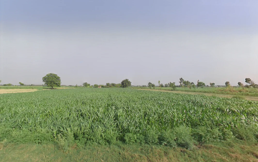 Dataganj, Uttar Pradesh 243635, India