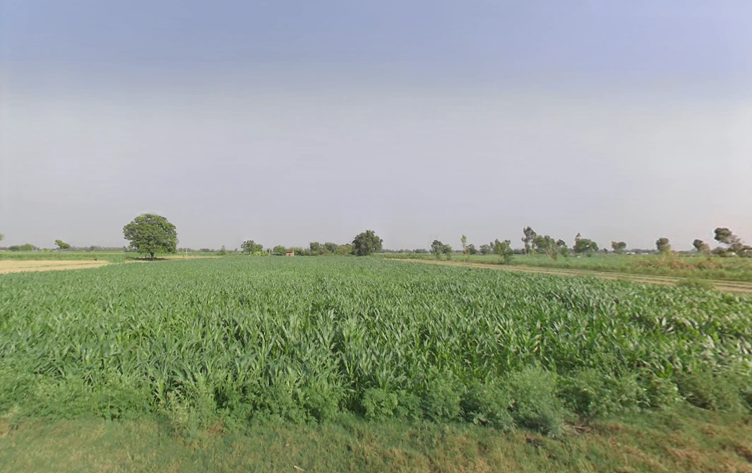 Dataganj, Uttar Pradesh 243635, India