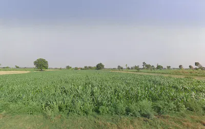 Dataganj, Uttar Pradesh 243635, India preview 2