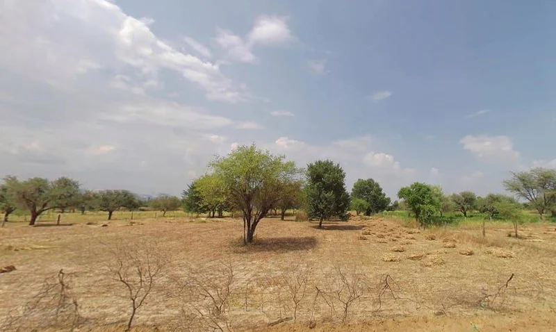 Kochhor, Rajasthan 332406, India preview 2