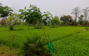 Singbandha, Chhattisgarh, India preview 2