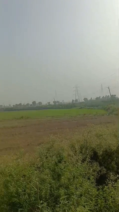 QPH6+6V5, Sarawa, Uttar Pradesh 245206, India
