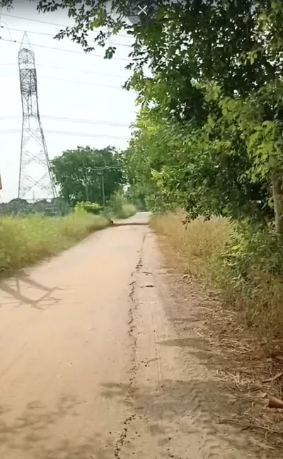 JXRQ+5VR, Alavas Baturi, Uttar Pradesh 203402, India preview 3
