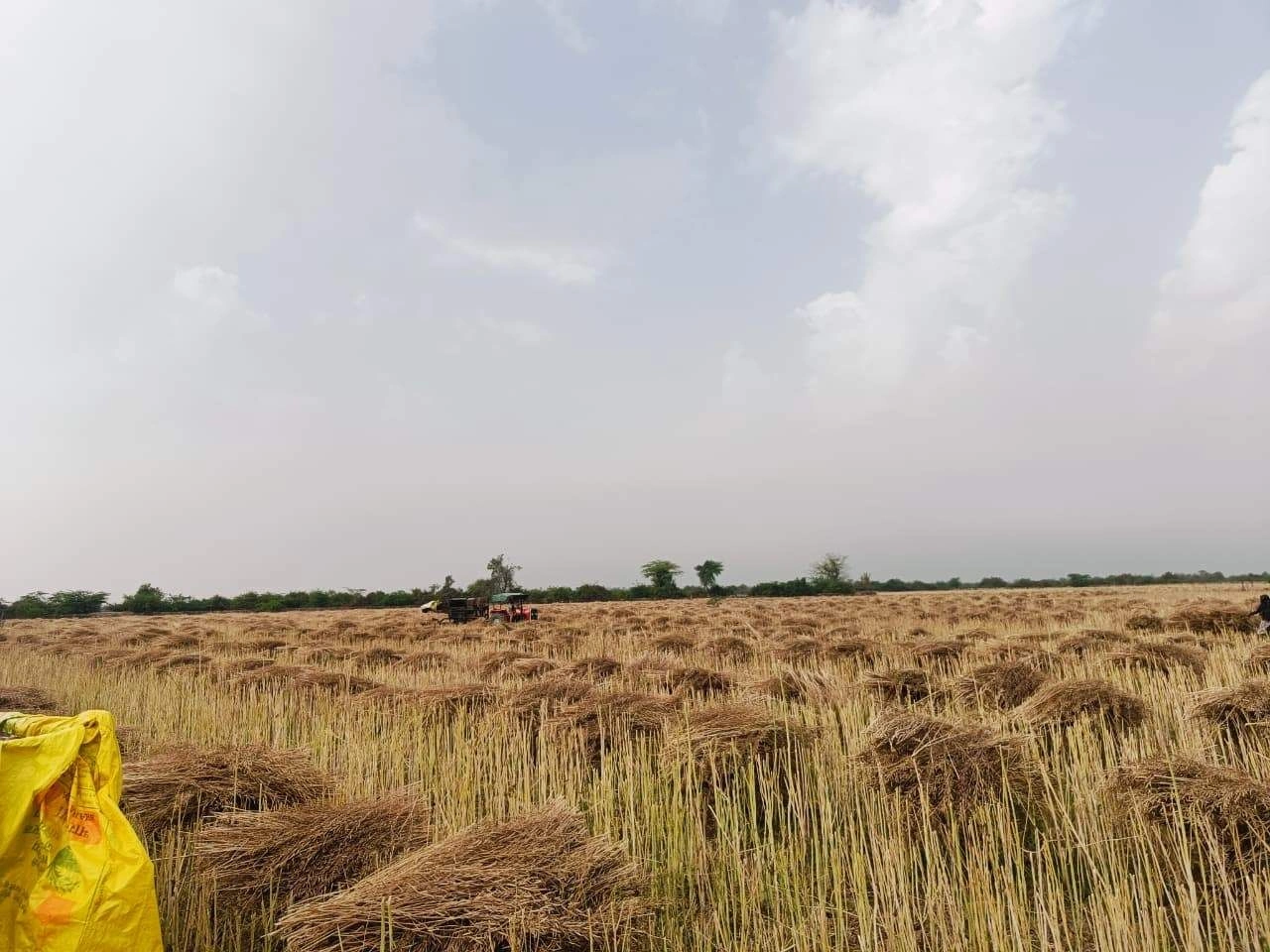 Gharwari, Rajasthan 321201, India