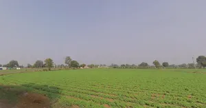 F8JP+8M Vanthli, Gujarat, India preview 2