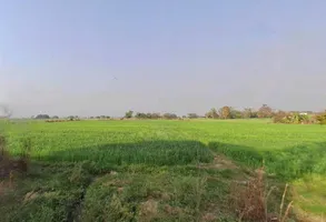 Mukundpur, Madhya Pradesh, India preview 2