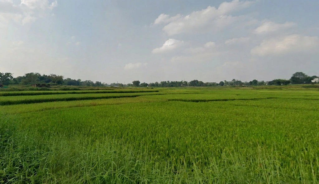 9CHP+CJ, Tatisilwai, Jharkhand 835103, India