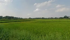 9CHP+CJ, Tatisilwai, Jharkhand 835103, India preview 2