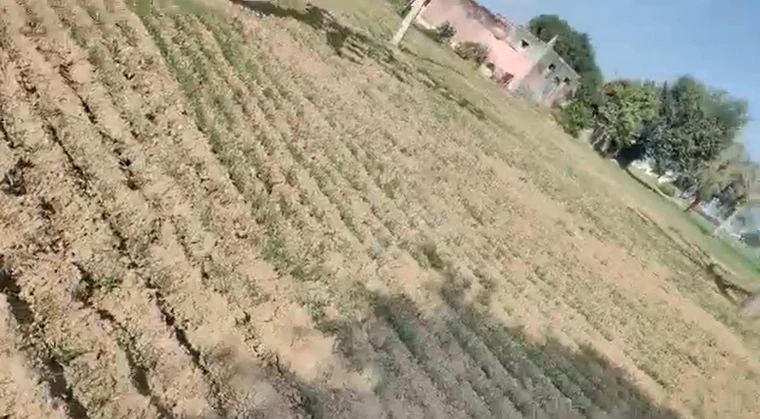 Ramnagar, Uttarakhand 244715, India