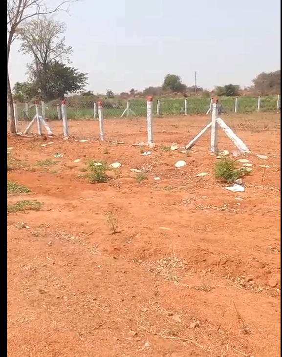 Vangoor, Telangana 509349, India