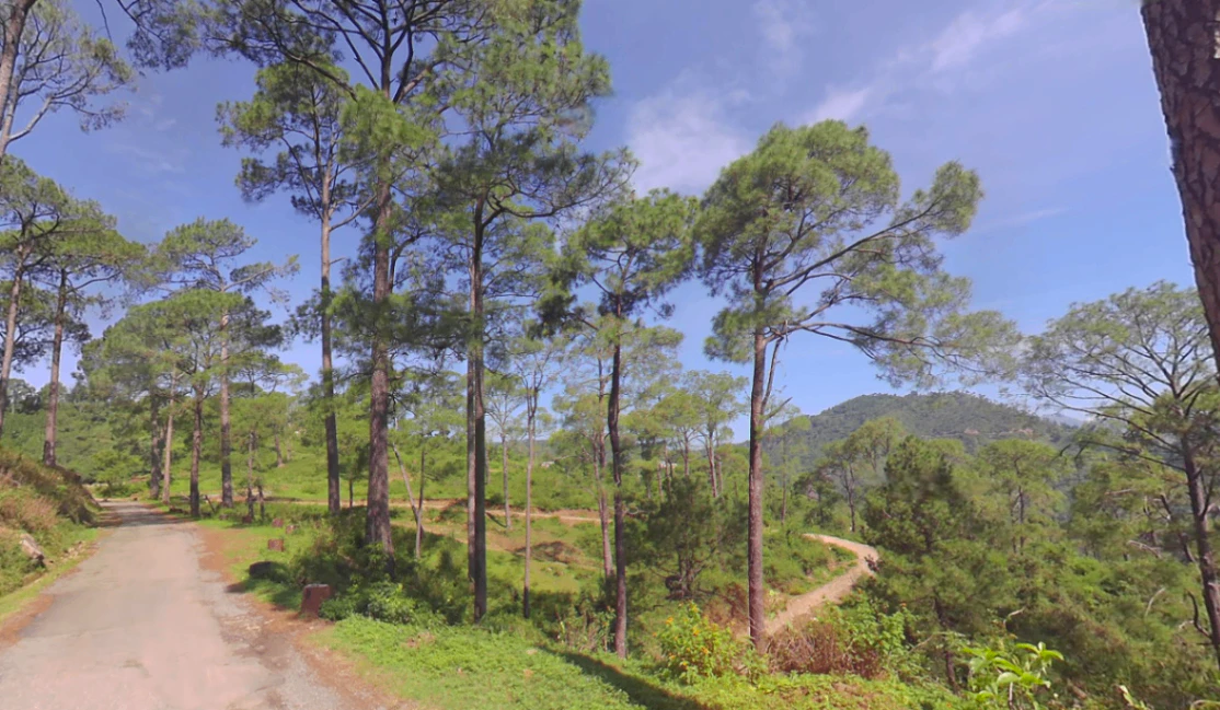 Renuka Ji, Himachal Pradesh 173022, India