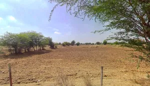 Keshwana, Rajasthan 343001, India preview 3