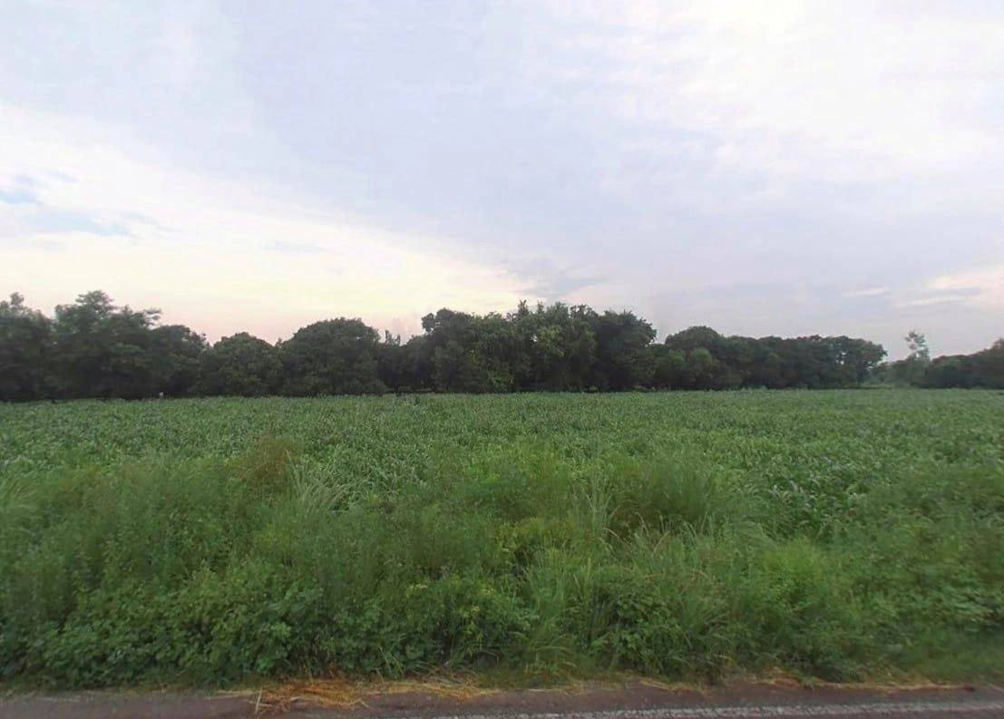 457W+GVM, Pandrawal, Uttar Pradesh 203397, India