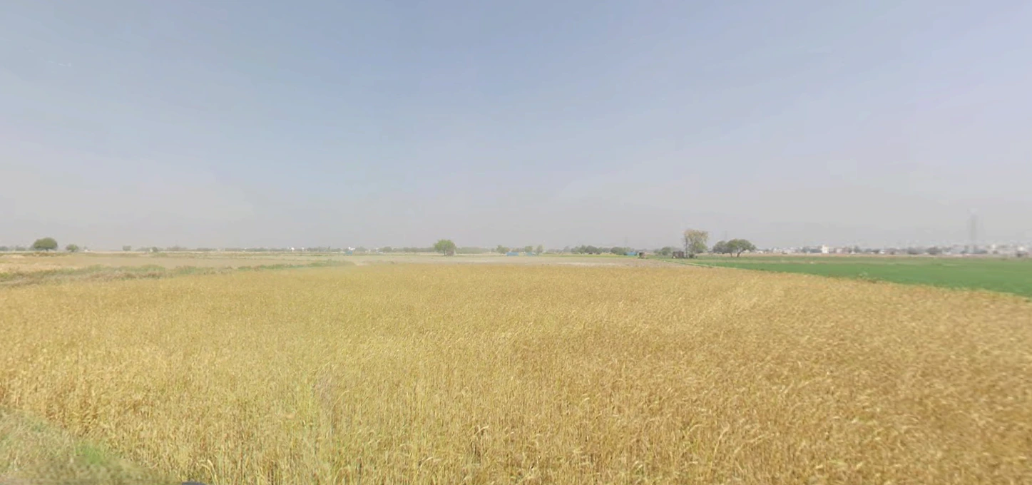 Rampura, Gujarat 393145, India