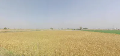 Rampura, Gujarat 393145, India preview 3