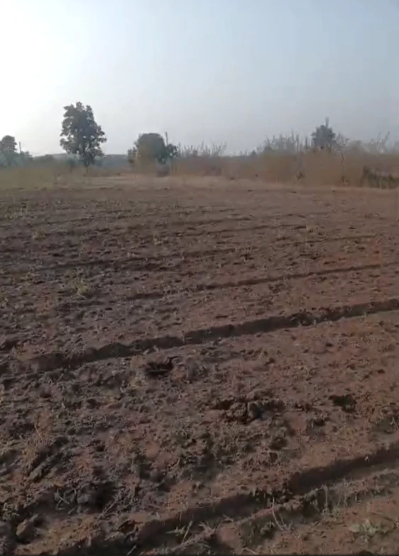 Karhiya, Gwalior, Madhya Pradesh 475220, India