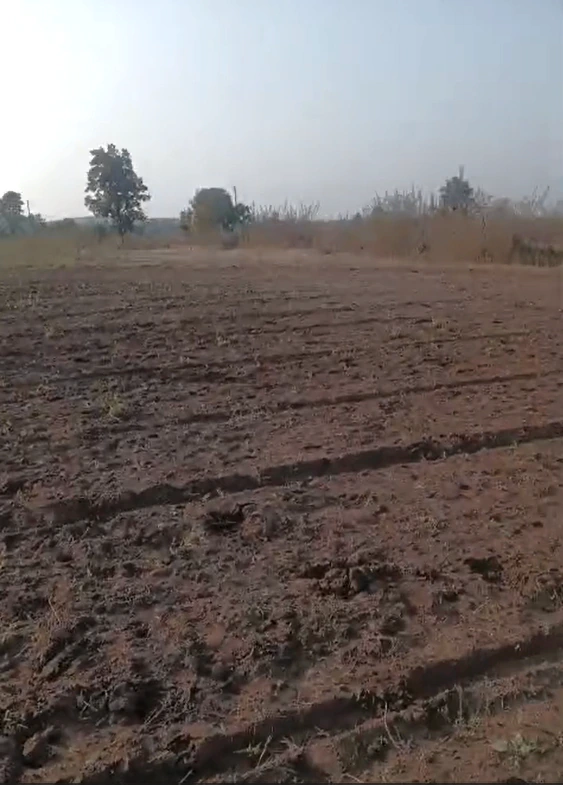 Karhiya, Gwalior, Madhya Pradesh 475220, India