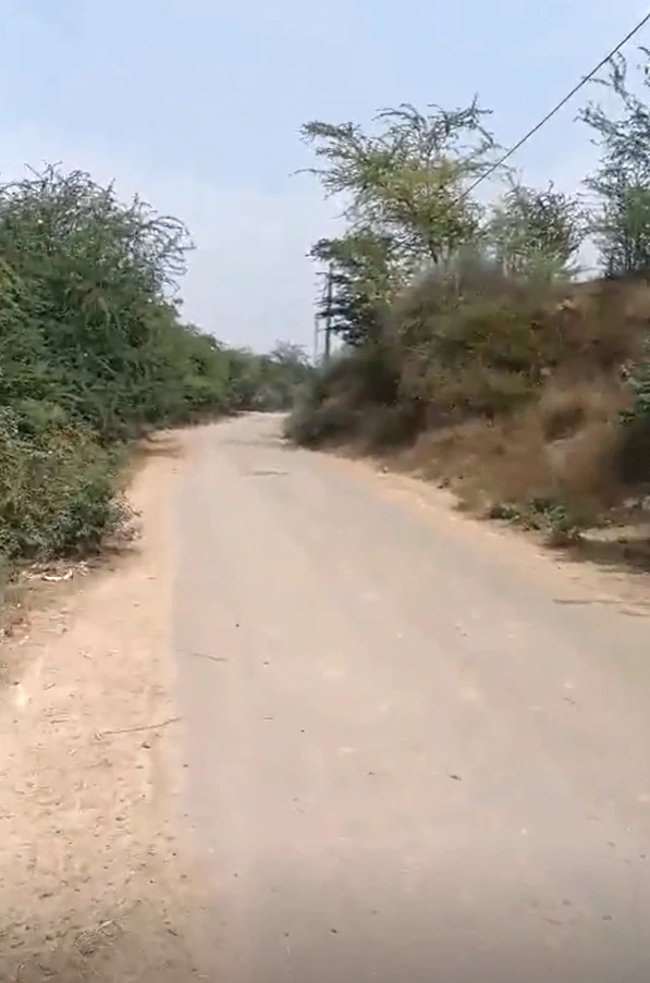 Mahewa, Fatehpur, Uttar Pradesh 212654, India - Photo 3