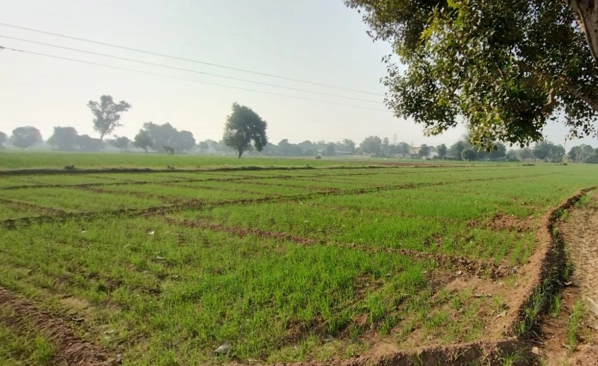 Bansur, Rajasthan, India