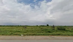 Jaipur, Rajasthan, India preview 3