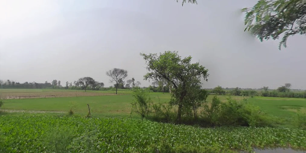 Dataganj, Uttar Pradesh 243635, India