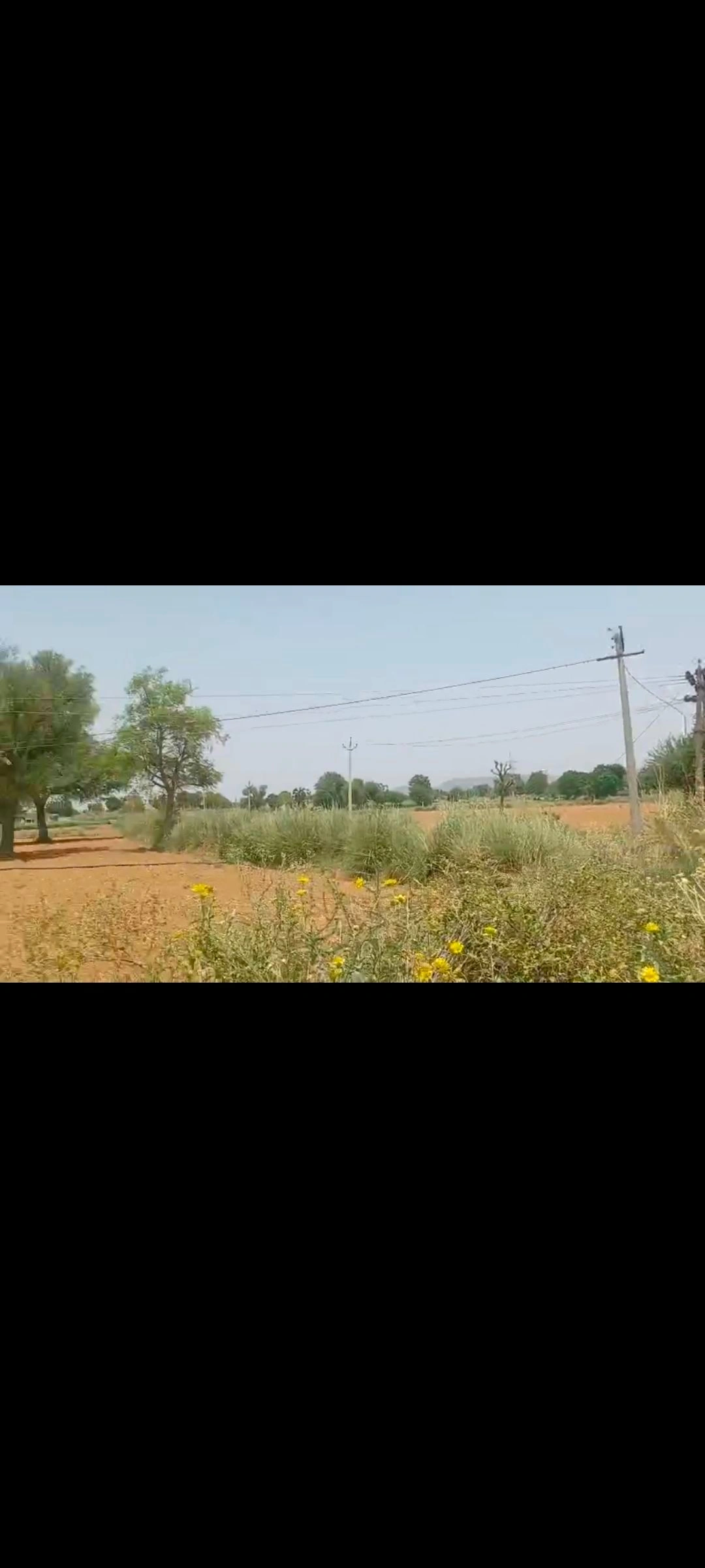 Jawanpura, Viratnagar, Kotputli-Behror, Rajasthan, India