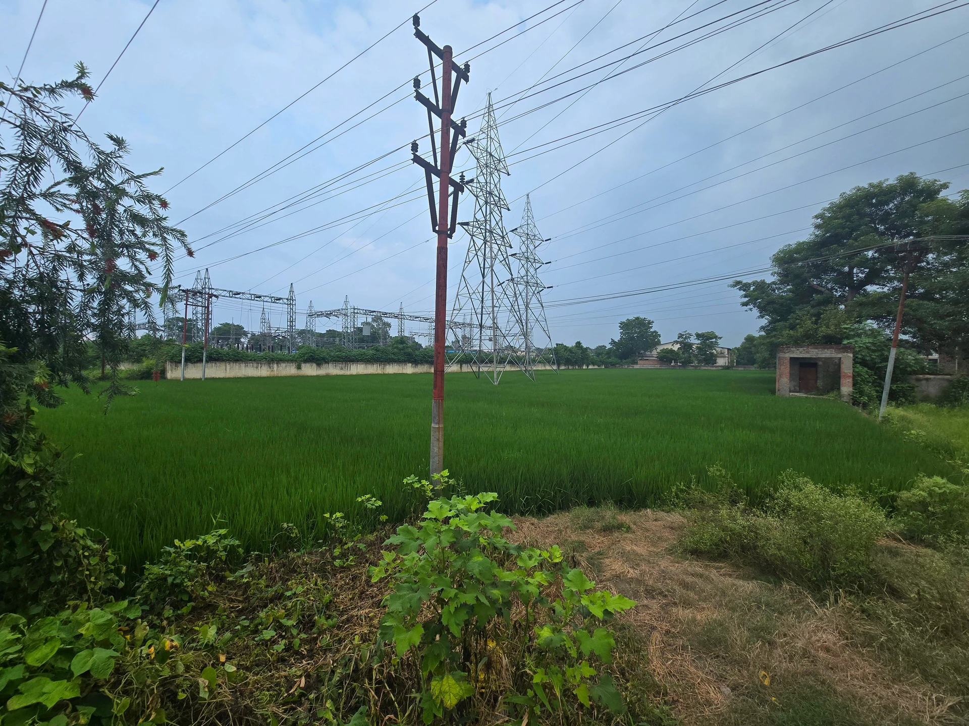 Rani Nagal, Udham Singh Nagar, Uttarakhand 262401, India